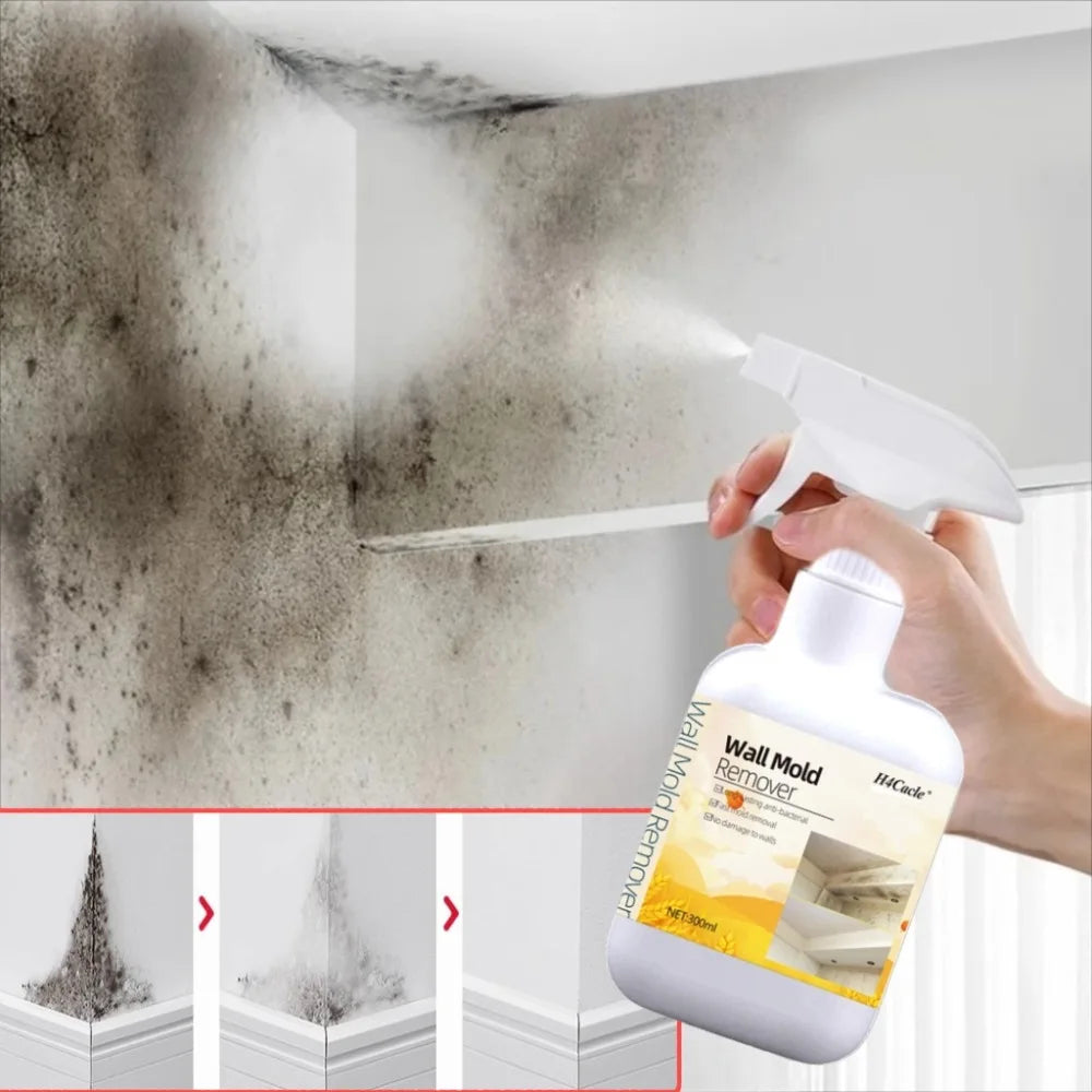 WouldGuard: Fast-Acting Mold Remover"
